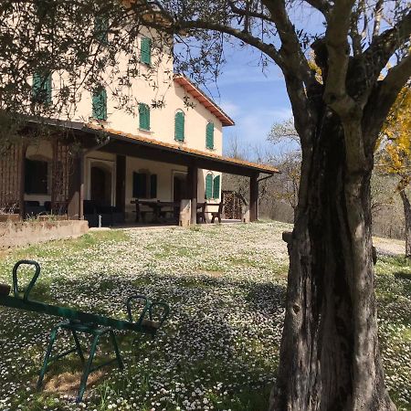 Pian D'Isola Bed & Breakfast Costacciaro Екстериор снимка